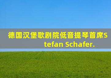 德国汉堡歌剧院低音提琴首席Stefan Schafer.